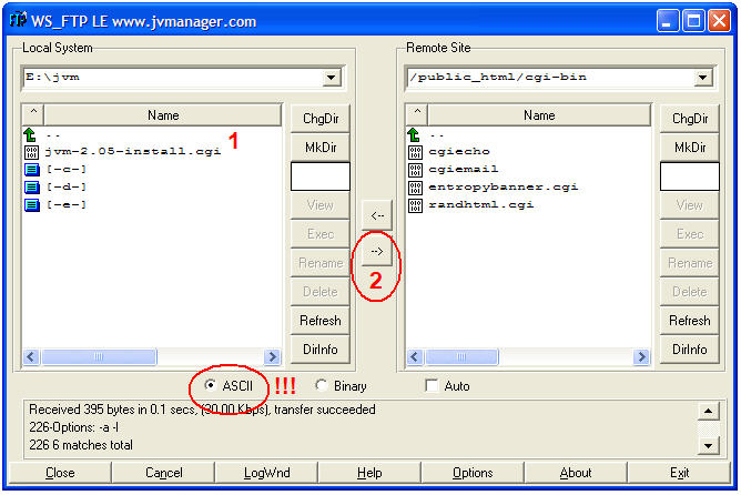 Upload the script in the /cgi-bin directory